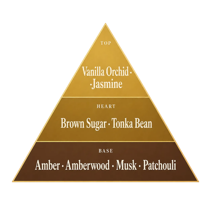 Very Vanilla fragrance pyramid — vanilla orchid, jasmine, brown sugar, tonka bean, amber, musk, patchouli