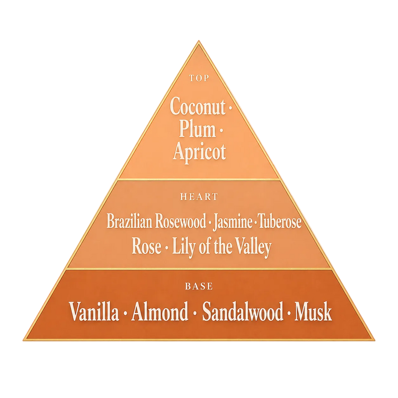Coco Vanilla fragrance pyramid — coconut, plum, apricot, rose, jasmine, tuberose, vanilla, sandalwood, musk